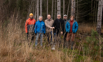 Stadtwerke Karlsruhe starten lokales Renaturierungsprojekt