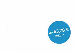 Megaspeed
