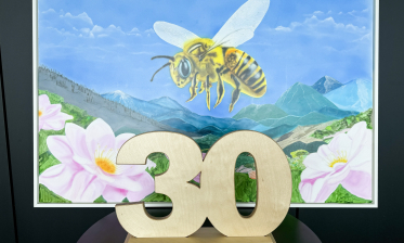 30. Umwelterklärung: Stadtwerke Karlsruhe verlosen Jubiläums-Gemälde