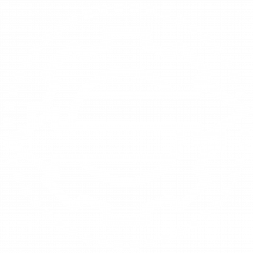 Icon Mobility Volkslauf