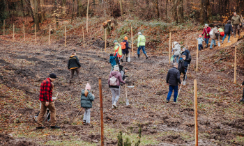 1.000 Bäume für Oberreut: Stadtwerke Karlsruhe setzen mit Baumpflanzaktion ein Zeichen für Nachhaltigkeit
