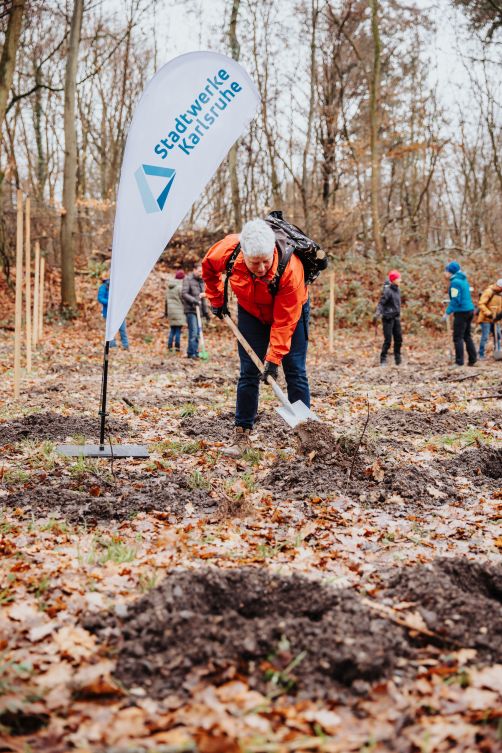 Baumpflanzaktion