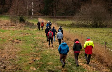 Moore die unterschätzten Klimahelden